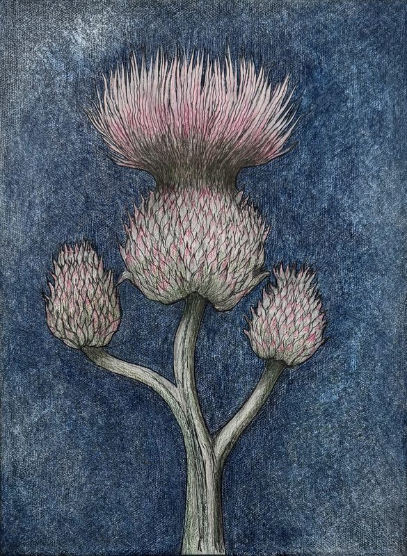 Thistle