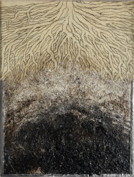 Roots