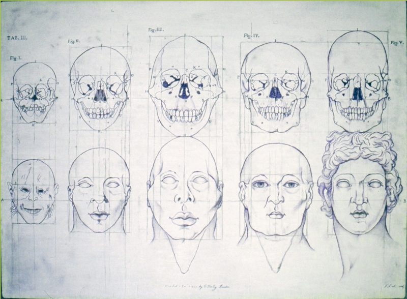 The History of Eugenics
