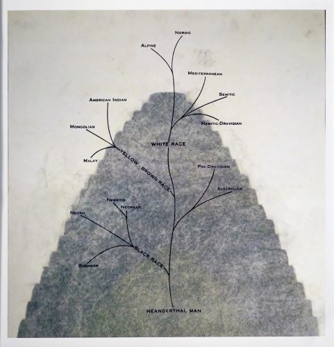 Tower of Babel: Tree of Races