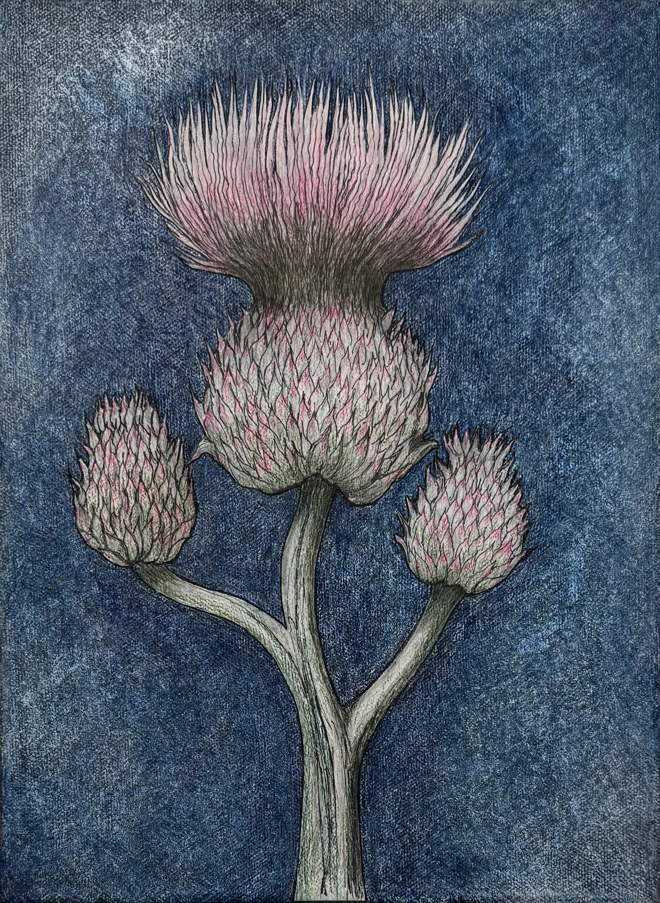 Botanical Collage