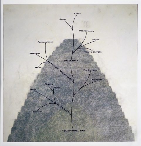 Tower of Babel: Tree of Races