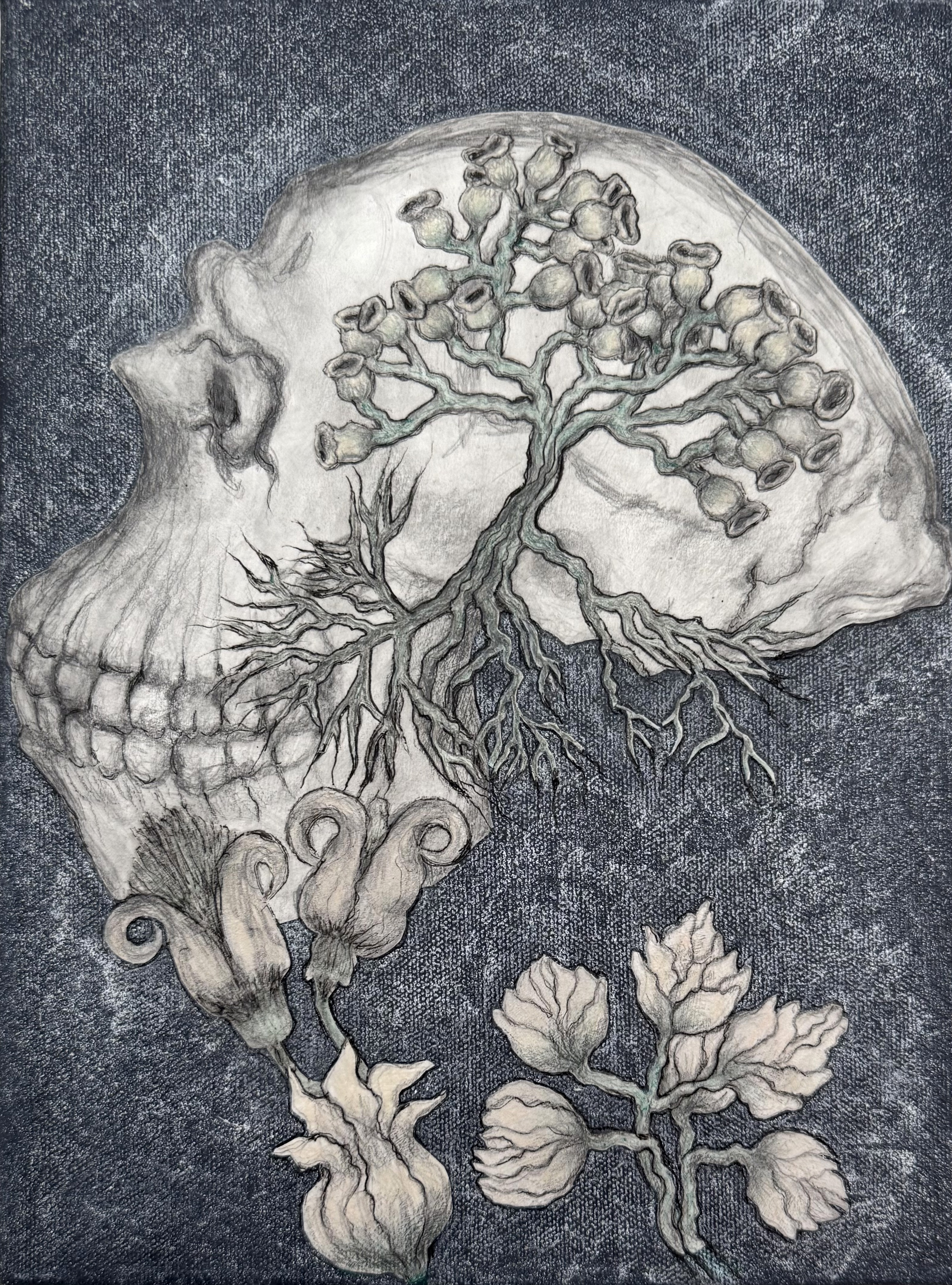 Skull